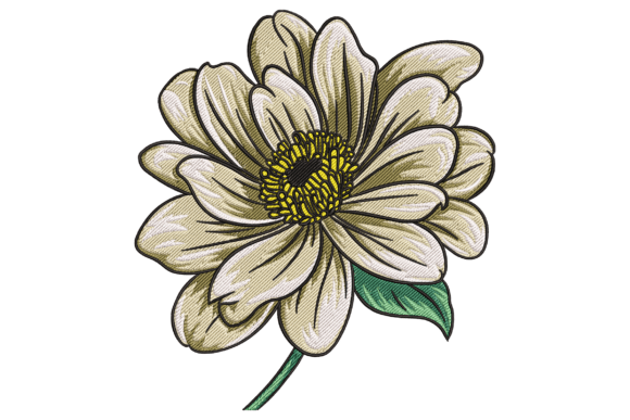 Gerbera Daisy Flower